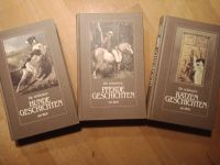 3 Bände Hunde-, Pferde- und Katzengeschichten aus aller Welt Rheinland-Pfalz - Straßenhaus Vorschau
