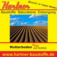 Mutterboden (gesiebt), Mutterboden m. HUMUS, Muttererde,Oberboden Nordrhein-Westfalen - Gelsenkirchen Vorschau