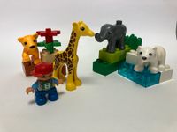 LEGO® DUPLO® Tierbabys Tiere Zoo 4962 Bayern - Langenzenn Vorschau