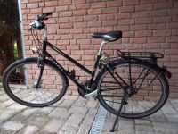 Fahrrad Damen 28 Zoll trecking Breezer Downtown 3.5, gebraucht Nordrhein-Westfalen - Hattingen Vorschau