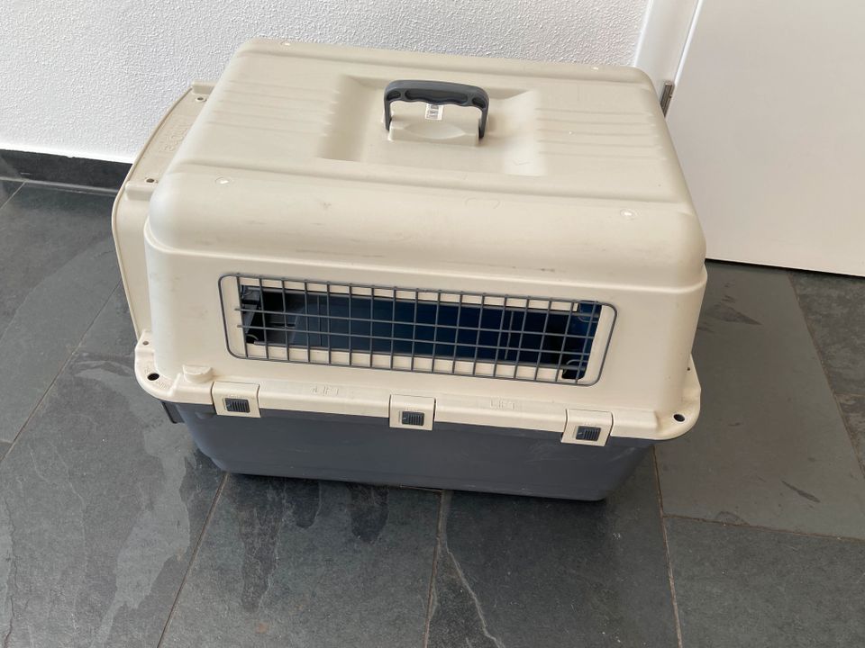 Kaum gebrauchte Hunde- Transportbox Anione M in München
