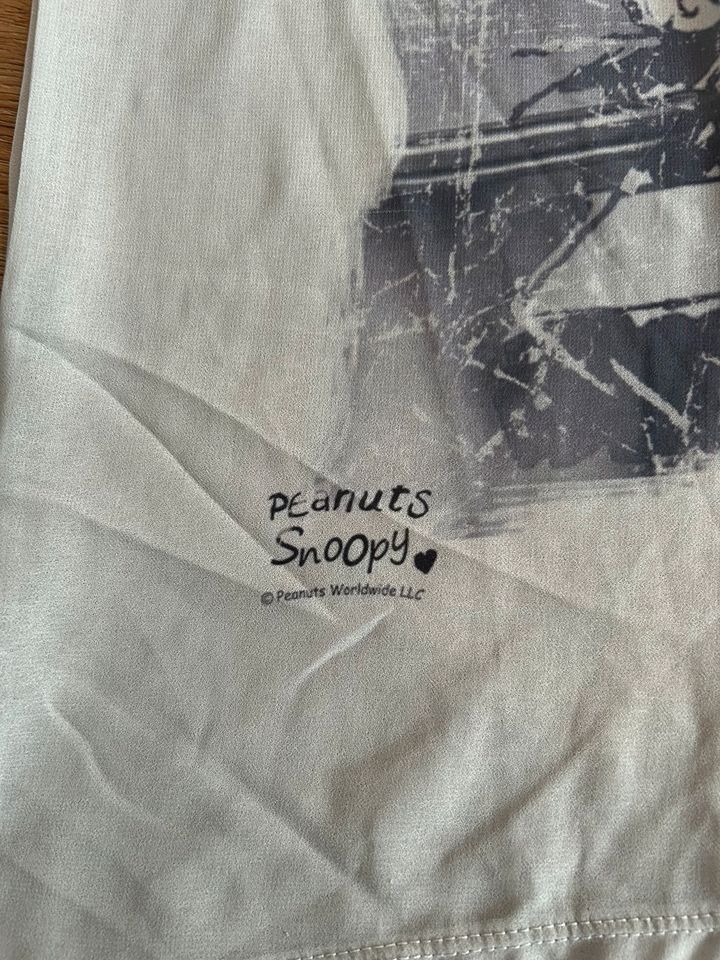 Shirt von Peanuts Snoopy grau transparent in Köln
