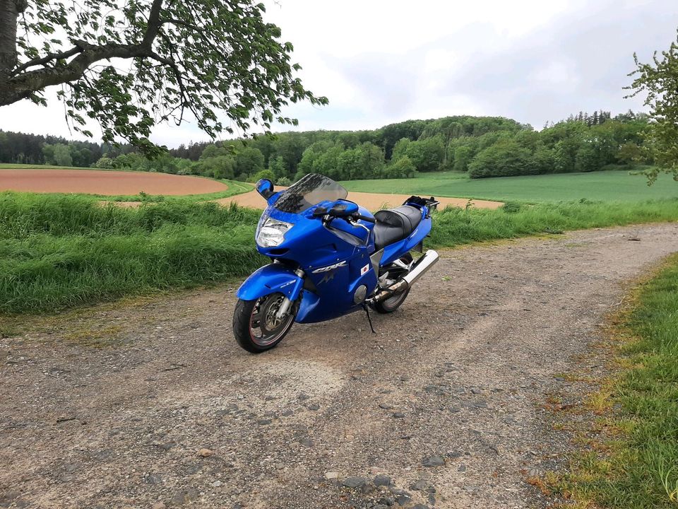 Verkaufe Honda CBR 1100xx in Dassel