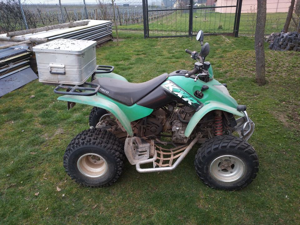 Kymco KXR 250 Quad in Lörzweiler