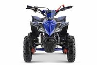 Quad 1000 Watt  36V  Replay Deluxe Nordrhein-Westfalen - Rietberg Vorschau