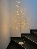 Lichterbaum Weihnachtsbaum Beleuchtung Bayern - Steinberg am See Vorschau