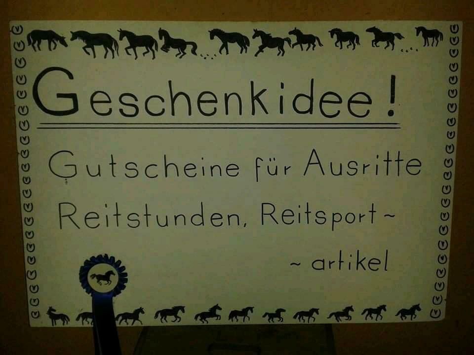 Gutscheine für Ausritte, Reitstunden, Ponyreiten in Ratingen