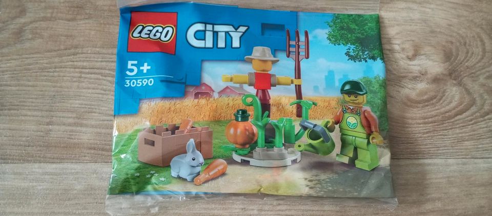 Lego City 30590 - Bauernhofgarten mit Vogelscheuche in Halle