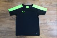 3 x Sport- Trainingsshirt von PUMA, Gr. 140 Münster (Westfalen) - Amelsbüren Vorschau