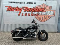 Harley-Davidson XL1200CB Schleswig-Holstein - Lübeck Vorschau