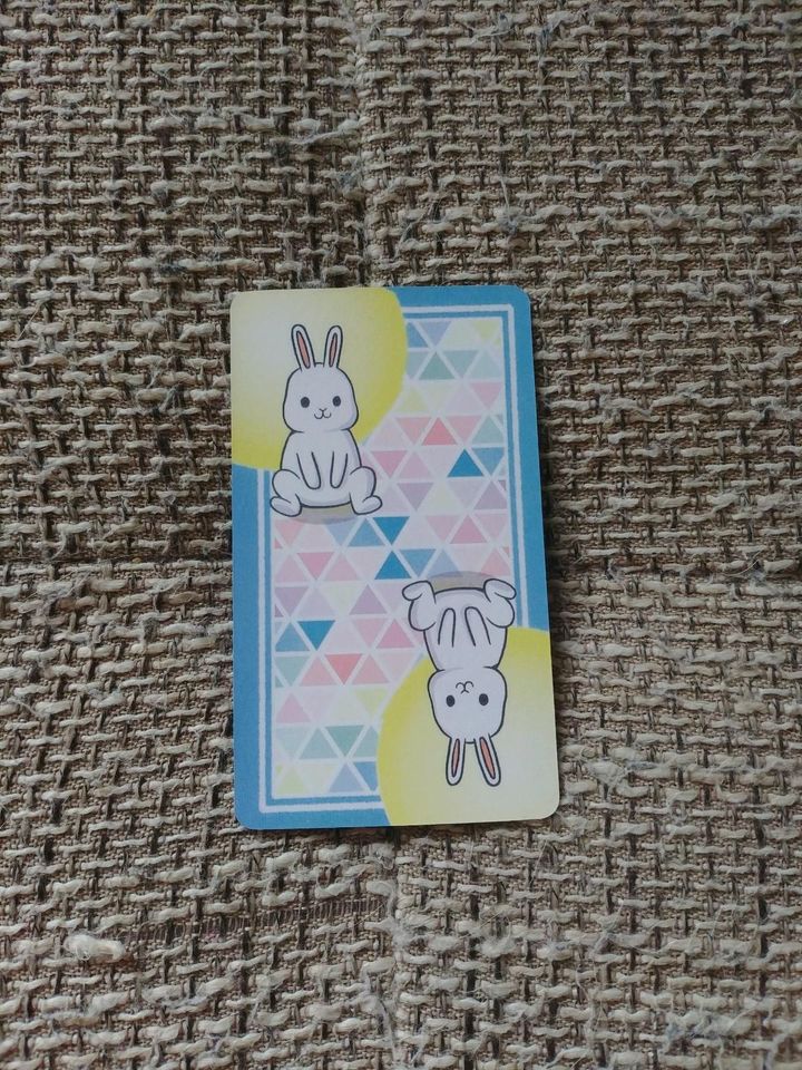 Chubby bunny Tarot in Ibbenbüren