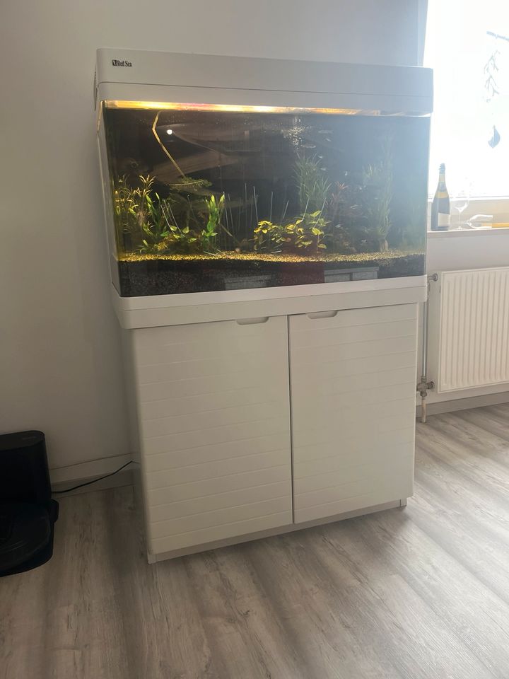 Aquarium komplett mit unterschrank „Red Sea“ in Schwabach