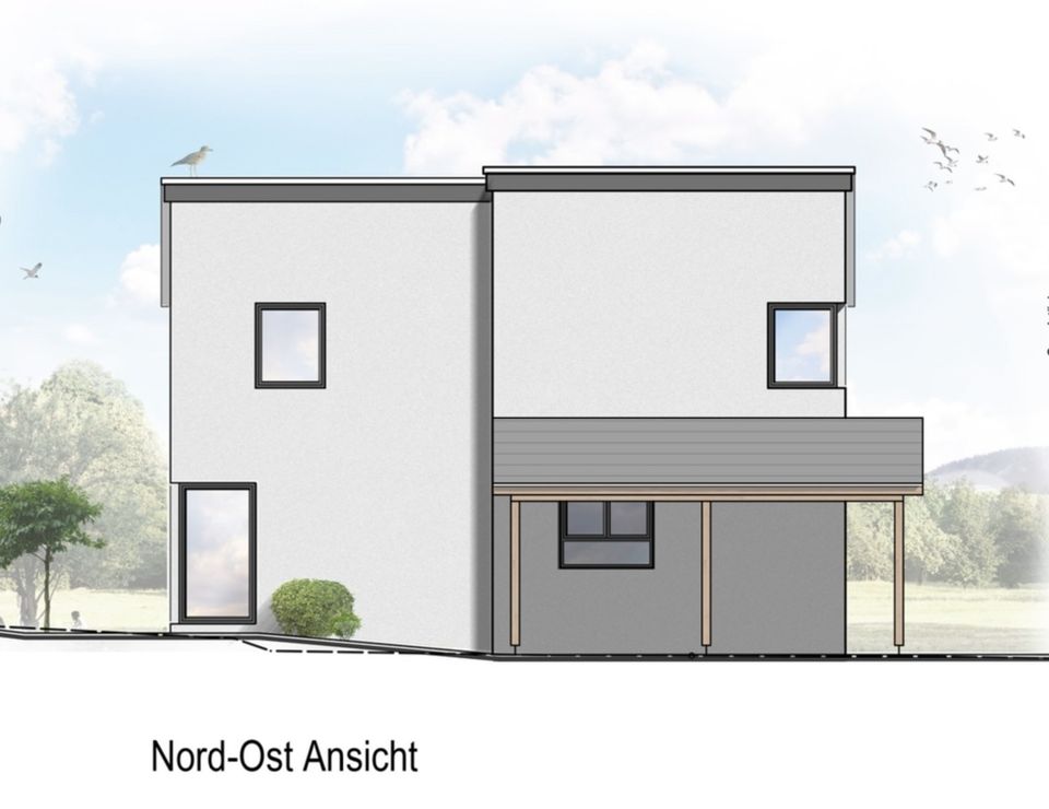 Einfamilienhaus Neubauvorhaben (KFW-55) in sehr guter Lage von Langerwehe in Langerwehe