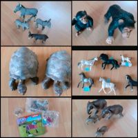 Schleichtiere,Esel,Pferd,Affe,Elefant,Schildkröte,Sammlung Nordrhein-Westfalen - Remscheid Vorschau
