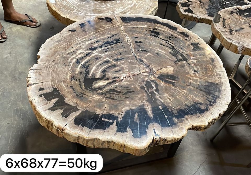 Fossil Tisch Versteinertes Holz Couchtisch Esstisch Steintisch in  Niedersachsen - Seevetal | eBay Kleinanzeigen ist jetzt Kleinanzeigen