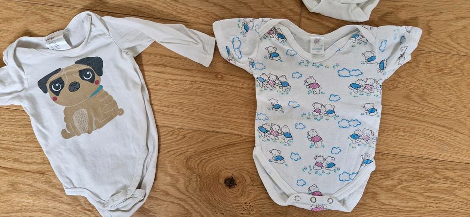 8x Bodys Größe 62 Kurzarm-Body Langarm-Body Body H&M C&A Babyclub in Maintal