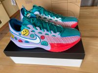 Nike Air Zoom GT Cut 3 Jewell Loyd 47,5 Dusty Kaktus Lila Blüte Hessen - Offenbach Vorschau