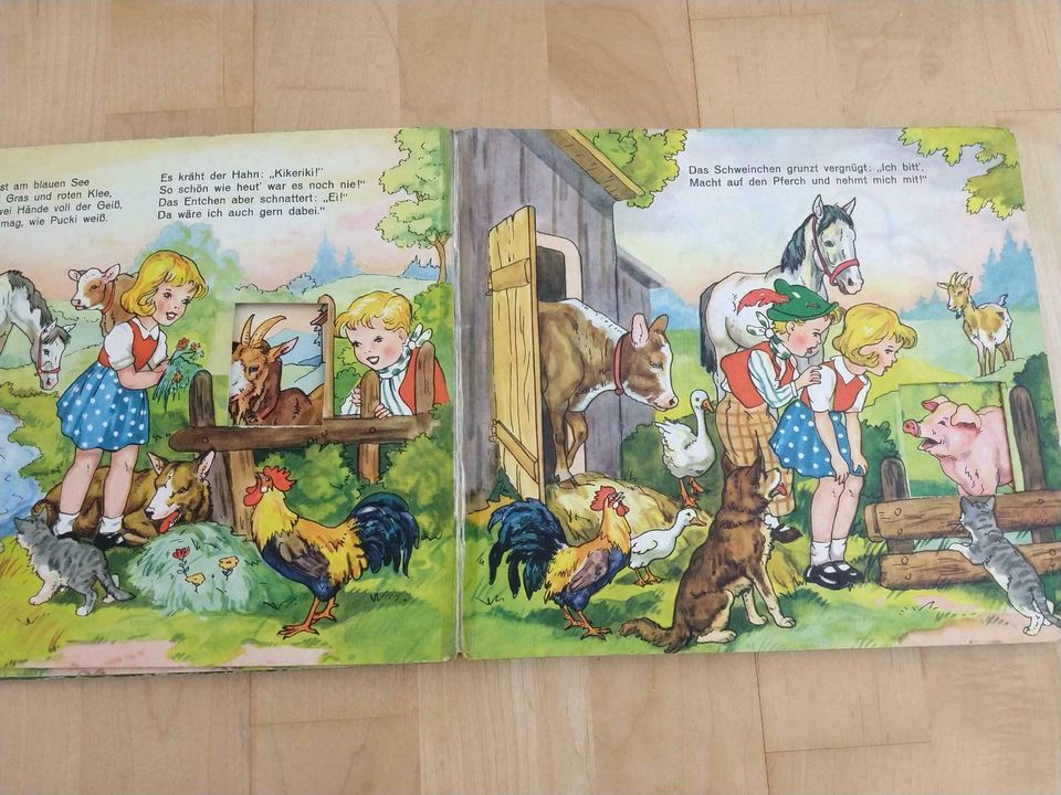Puck und Puckis Tiere - Antiquarisches Kinderbuch, Pestalozzi in Oberursel (Taunus)