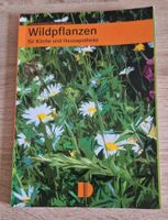 Buch Wildpflanzen für Küche und Hausapotheke Sachsen - Mittweida Vorschau