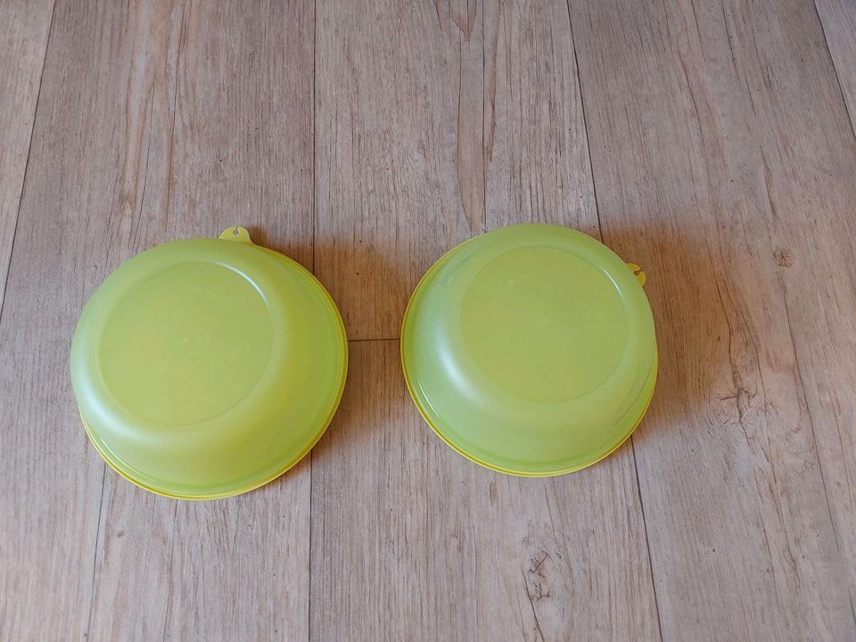 Tupperware Dosen-Set in Hodenhagen