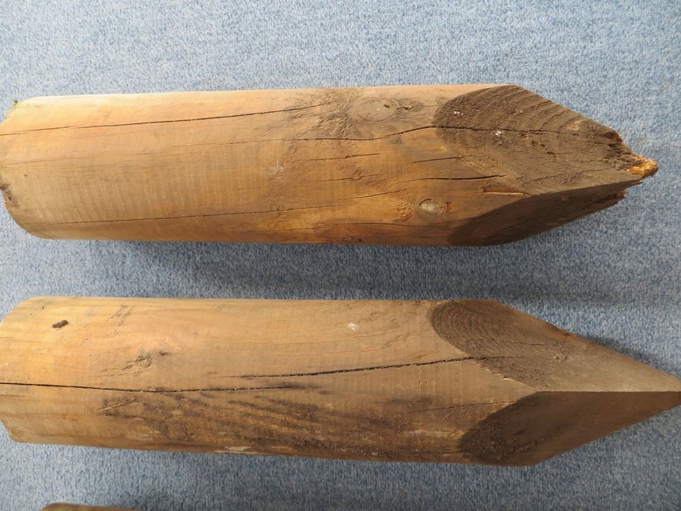 Holzpflocken Minipalisade gespitzt Ø 11 cm x H 53 cm in Nürnberg (Mittelfr)