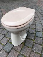 Stand-WC beige Nordvorpommern - Landkreis - Prohn Vorschau