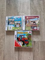 Nintendo DS Spiele verschiedene Sachsen-Anhalt - Dessau-Roßlau Vorschau