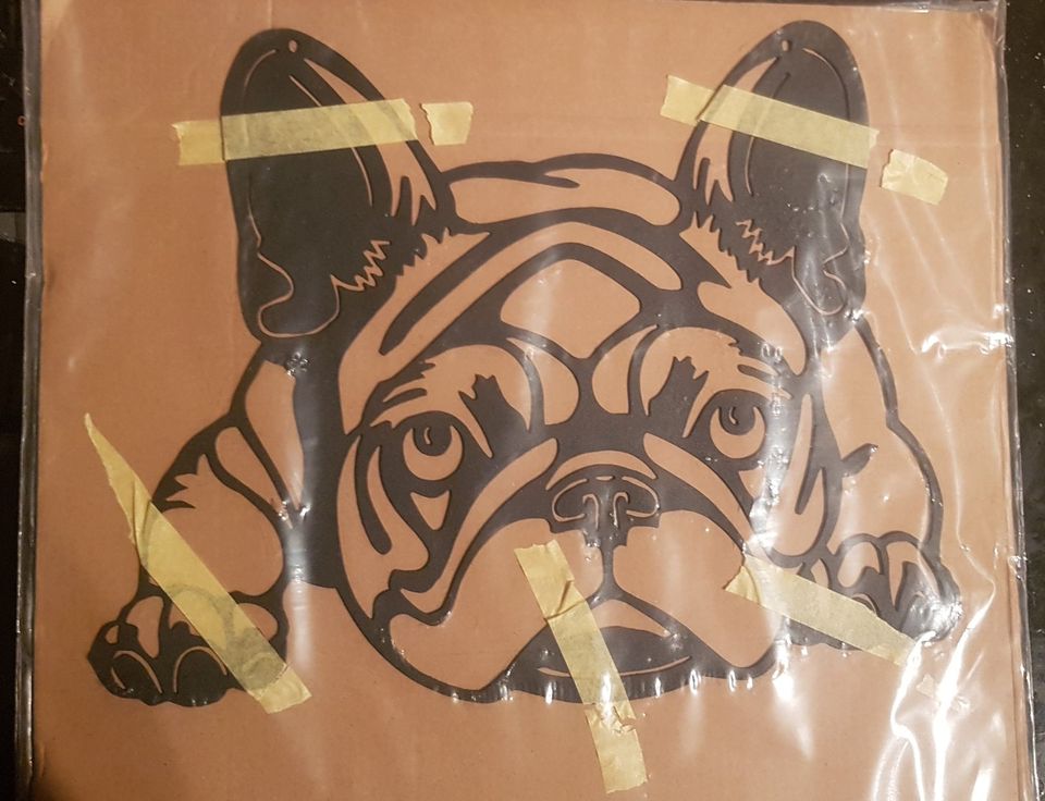 Metall-Wand-Bild  Französische Bulldogge in Münnerstadt