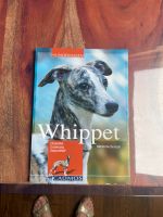 Whippet Charakter, Erziehung und Gesundheit Bayern - Ebelsbach Vorschau