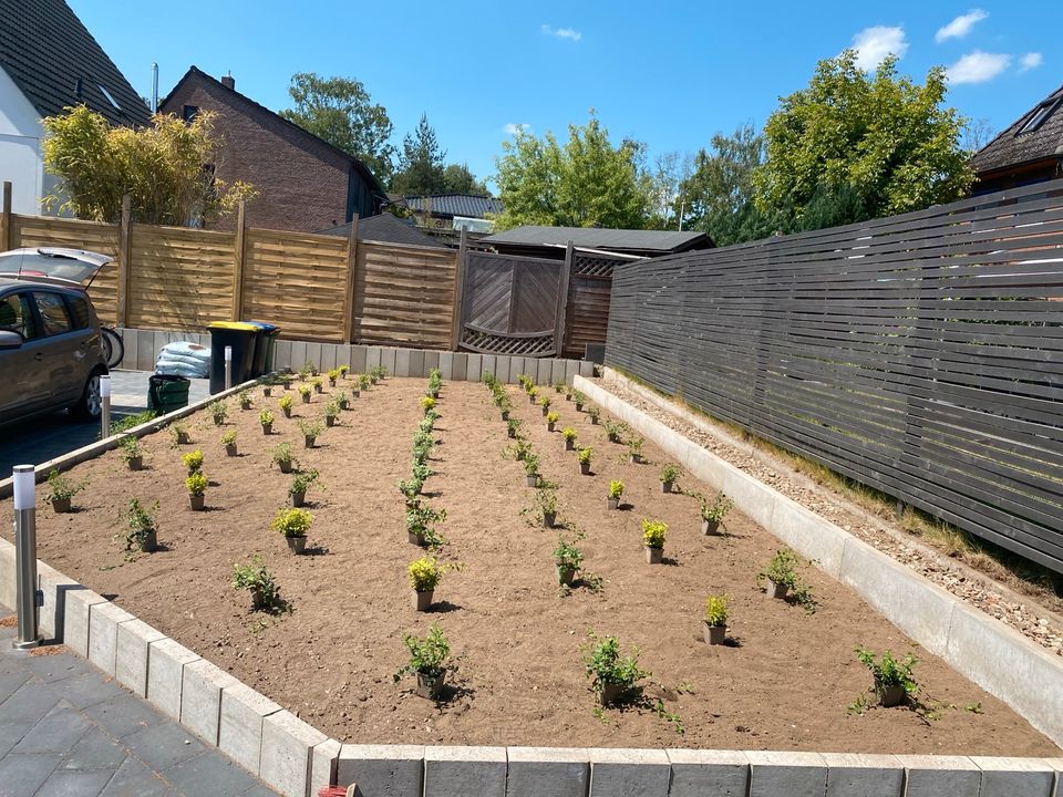 Gartenpflege / Gartenarbeit in Buchholz in der Nordheide