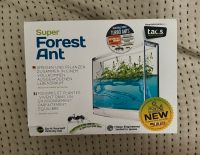 Super Forest Ant Ameisen Terrarium Biologie Insekten Berlin - Charlottenburg Vorschau