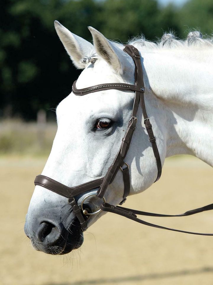 %% Trense Feeling ABVERKAUF Ledertrense von Busse, anatomische Passform,perfekte Anpassung,vermeidet Druckstellen,Edelstahlbeschläge  Pony,Cob,WB  braun, schwarz Neuware Lagerräumung in Kempen