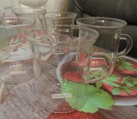 Bodum Teegläser aus Glas  6 Stück mit Henkel Niedersachsen - Nordenham Vorschau