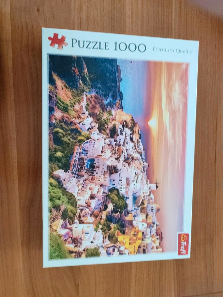 Trefl Puzzle 1000 Premium Quality in Gelsenkirchen