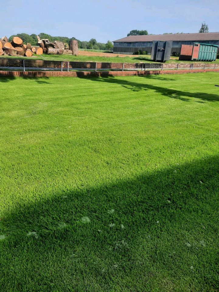 Alt Rasen Sanierung  Rollrasen Fräsen umkehrfräsenplanierenneusaa in Wangerland