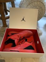 Air Jordan XXXIII EUR 47 / 11,5 AQ8830600 Sneaker Rot Red Brandenburg - Oberkrämer Vorschau