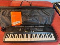 Roland E16 Keyboard Schleswig-Holstein - Ulsnis Vorschau