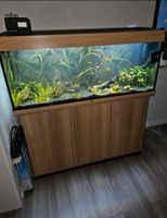 Aquarium mit Unterschrank Juwel Rio 240 Liter Nordrhein-Westfalen - Werdohl Vorschau