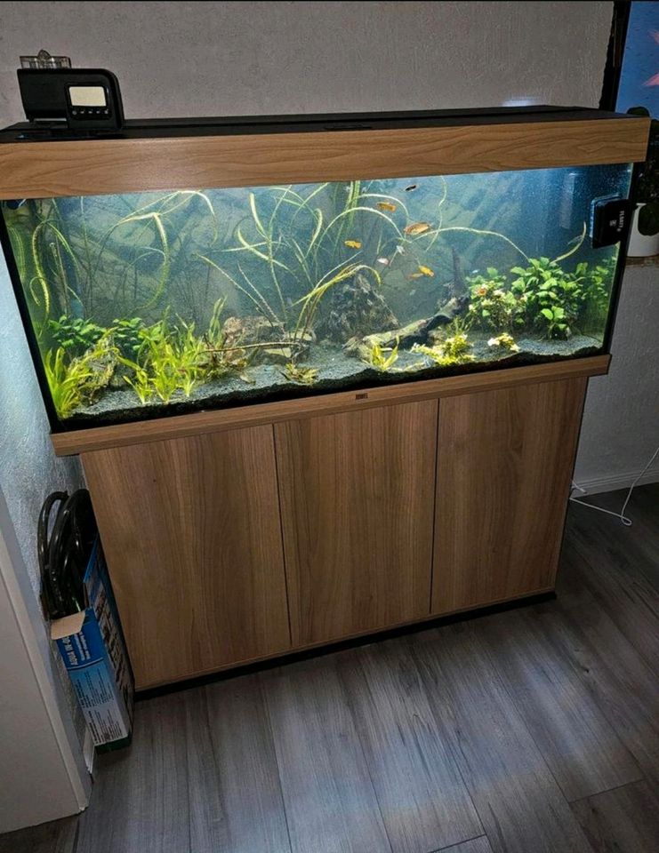 Aquarium mit Unterschrank Juwel Rio 240 Liter in Werdohl