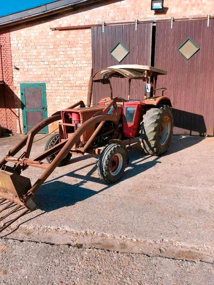 Suche Schlepper Traktor Deutz Case John deere Fiatagri in Stadtlohn