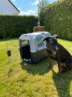 Hundebox XXL hundezubehör Nordrhein-Westfalen - Menden Vorschau