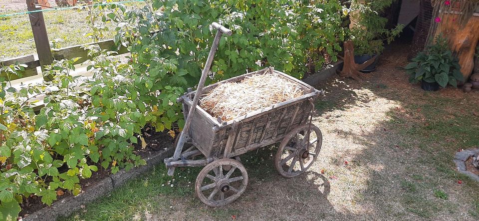 Scheunenfund: Handwagen, vintage,  normal gebrauchsfähig. in Werdau