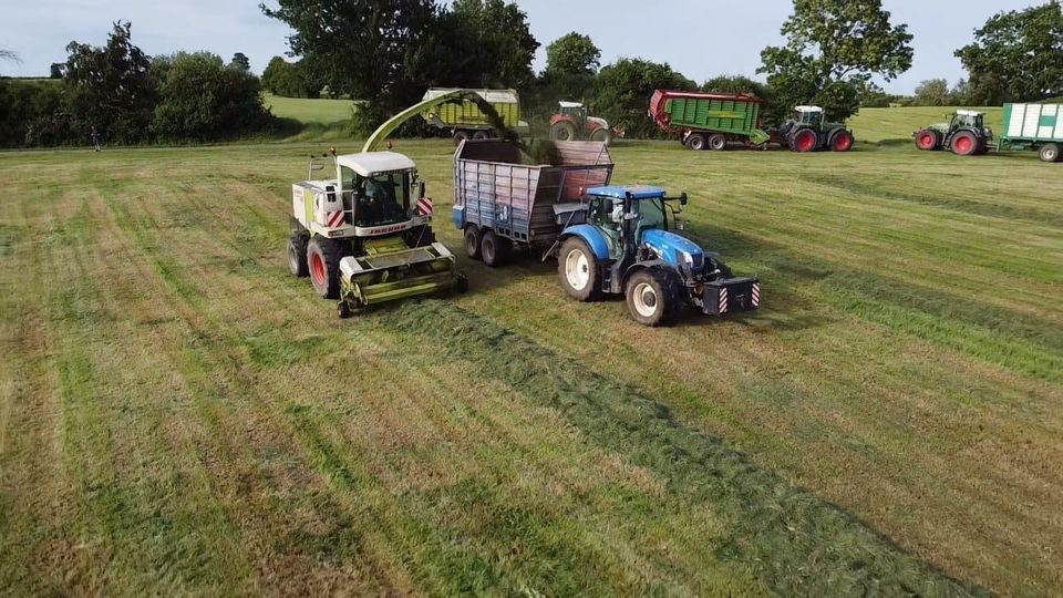 Mitarbeiter Landwirtschaft, Festangestellter, Landwirt in Glasau