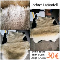 Lammfell, Baby, Niedersachsen - Bad Münder am Deister Vorschau
