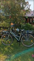 Llobe Ebike NEU 1300,00 € Sachsen-Anhalt - Calbe (Saale) Vorschau