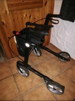 Leichtgewicht-Rollator Baden-Württemberg - Aldingen Vorschau