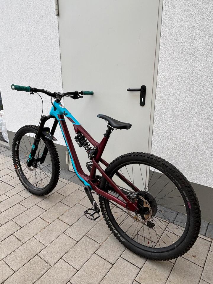 Rocky Mountain Altitude Carbon C50 Gr. M mit vielen Upgrades in Landau in der Pfalz