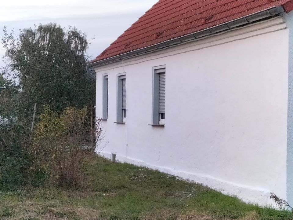 Einfamilienhaus mit Scheune und Stall in Dommitzsch