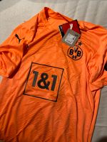 BVB Sondertrikot Nordrhein-Westfalen - Kamen Vorschau