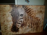 Leinwand Zebra Düsseldorf - Angermund Vorschau